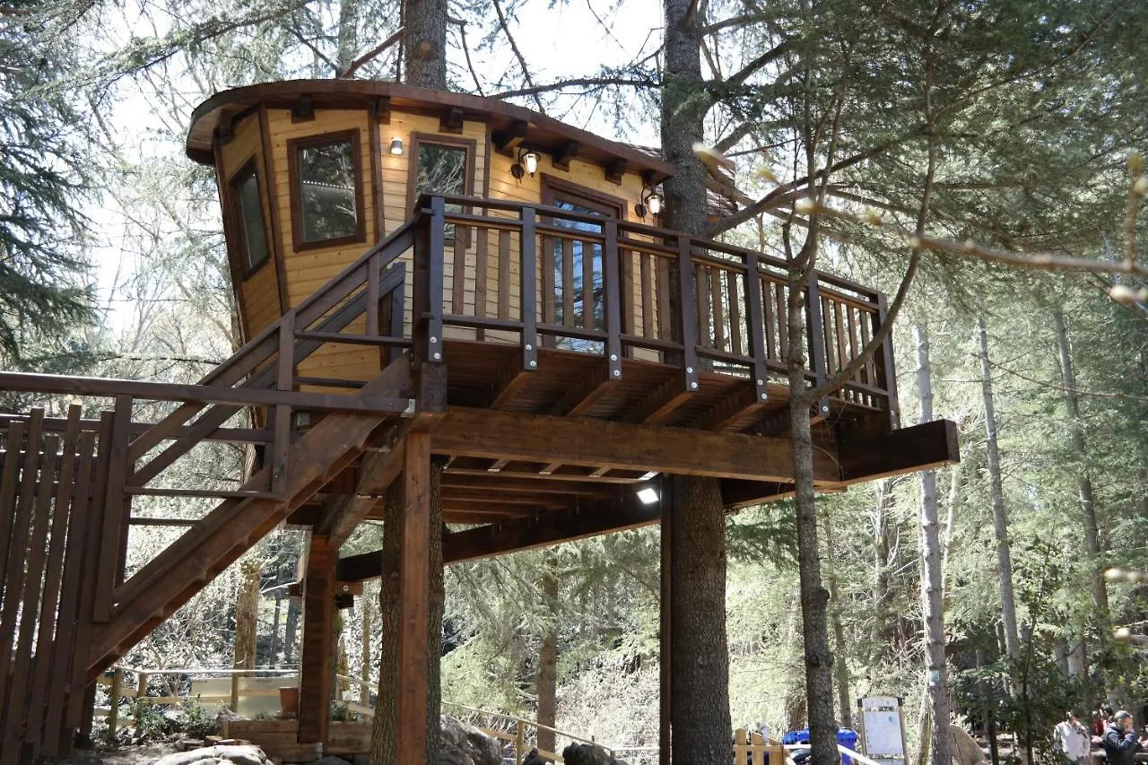 מלון פטראליה סופראנה Tree Camping Madonie איטליה