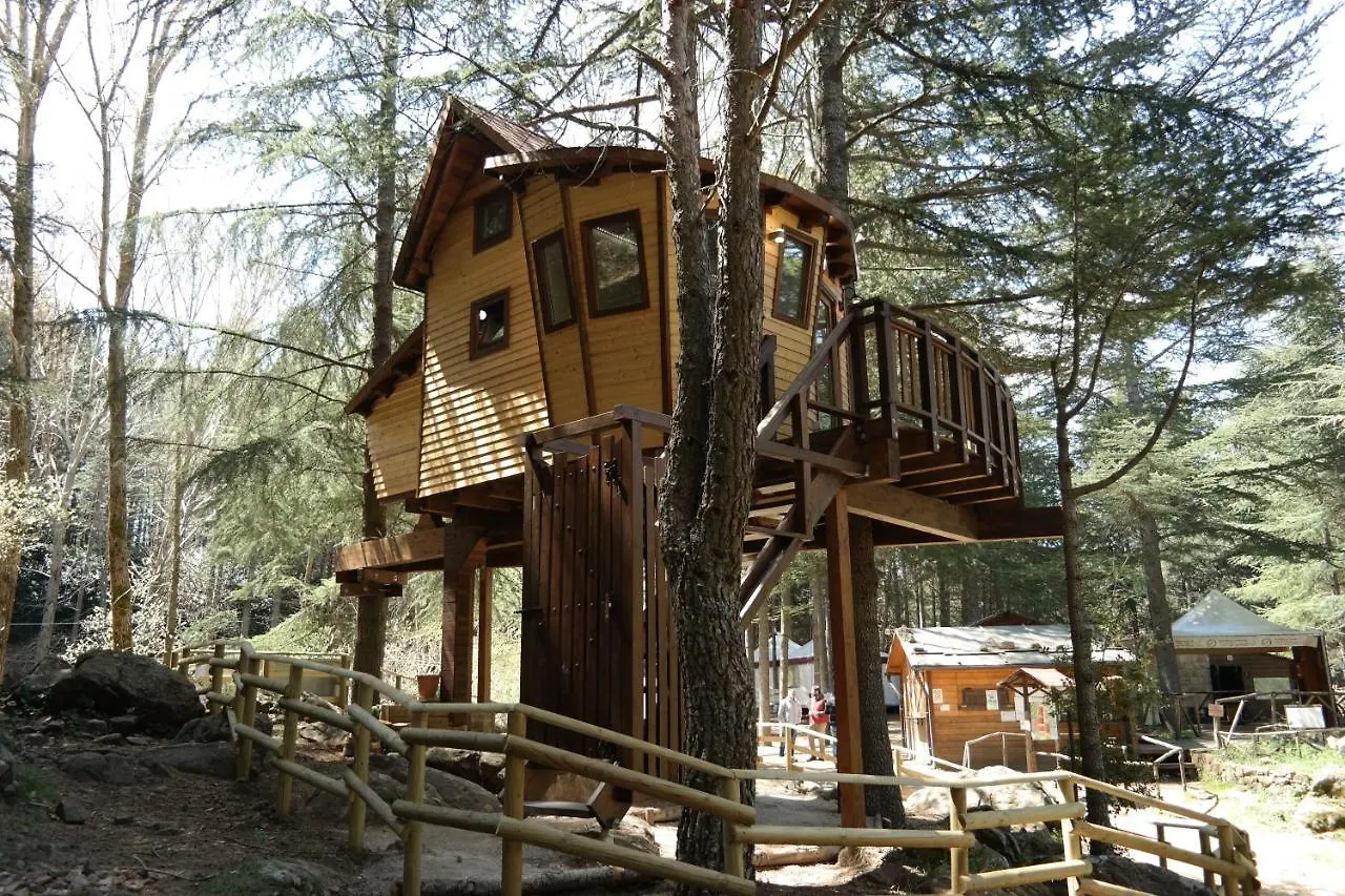 אתר קמפינג מלון פטראליה סופראנה Tree Camping Madonie איטליה