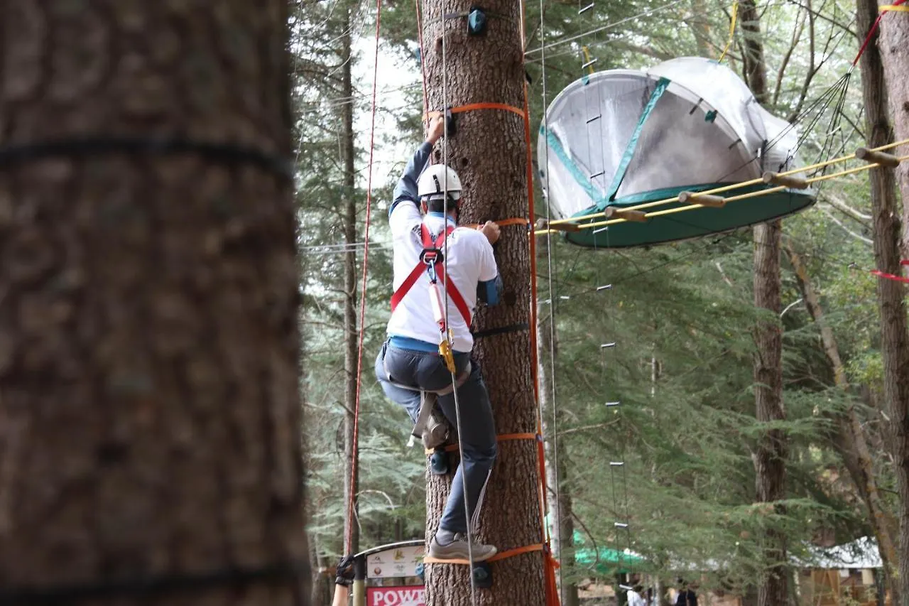 מלון פטראליה סופראנה Tree Camping Madonie אתר קמפינג