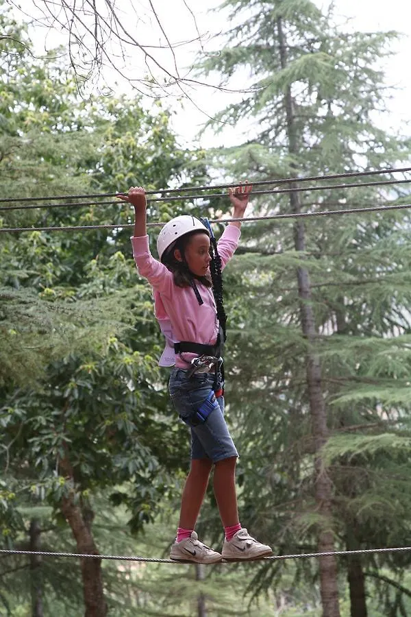 מלון פטראליה סופראנה Tree Camping Madonie אתר קמפינג