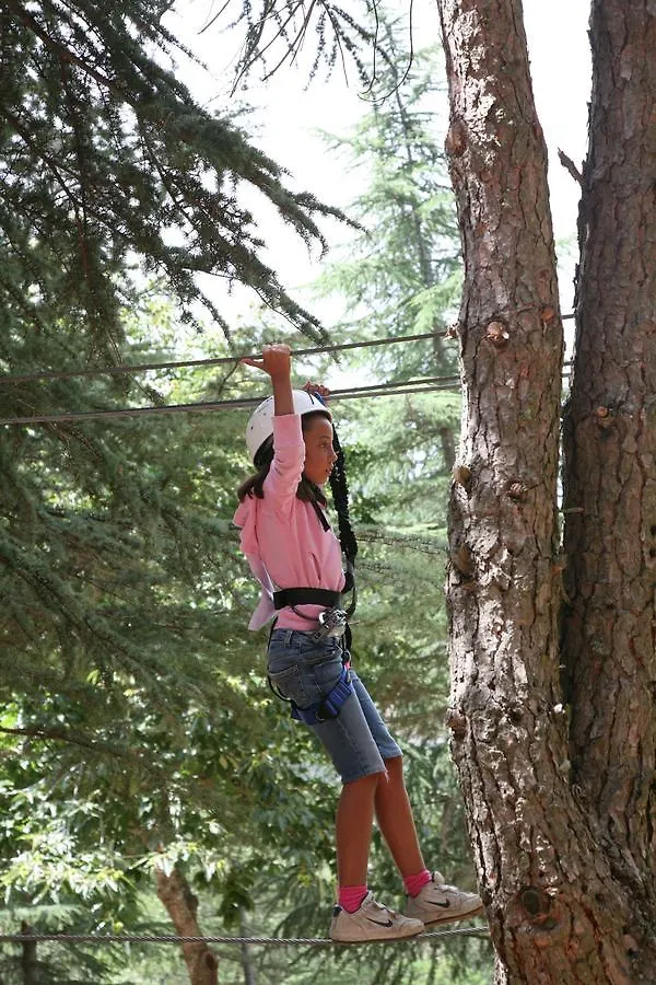 Campsite Tree Camping Madonie Hotel Petralia Soprana Italy
