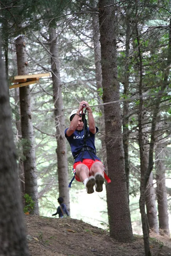מלון פטראליה סופראנה Tree Camping Madonie