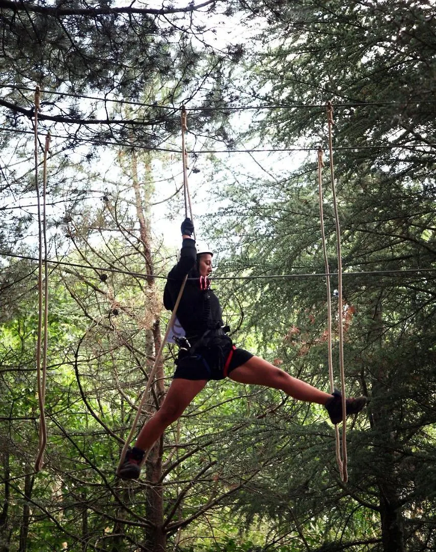 מלון פטראליה סופראנה Tree Camping Madonie אתר קמפינג