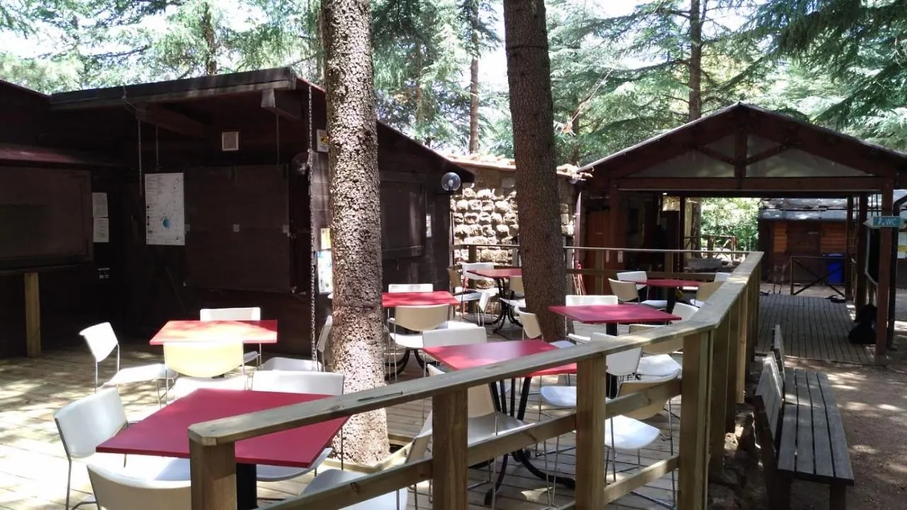 אתר קמפינג מלון פטראליה סופראנה Tree Camping Madonie