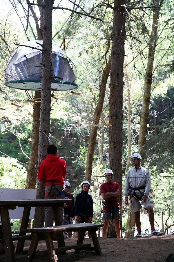 מלון פטראליה סופראנה Tree Camping Madonie 0*,