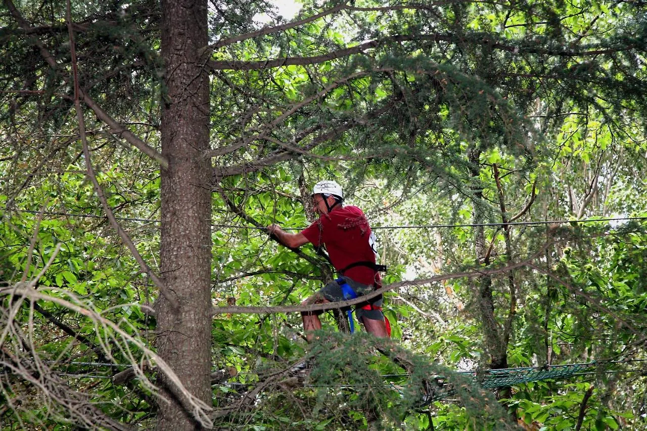 אתר קמפינג מלון פטראליה סופראנה Tree Camping Madonie איטליה